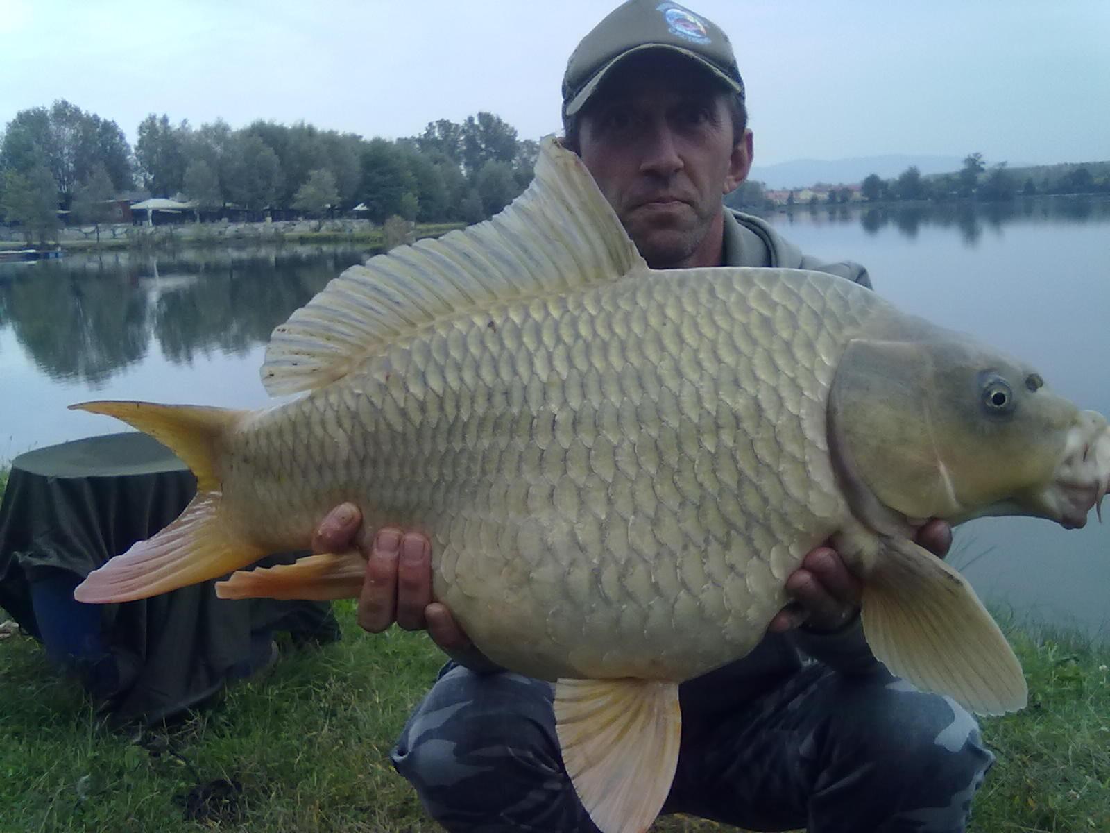 florian tanasa - 22102011035.jpg